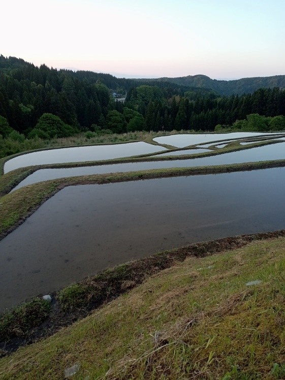 【棚田から富山湾と立山連峰が一望できる！】農業体験を通じ、富山の素晴らしさを感じてみませんか！