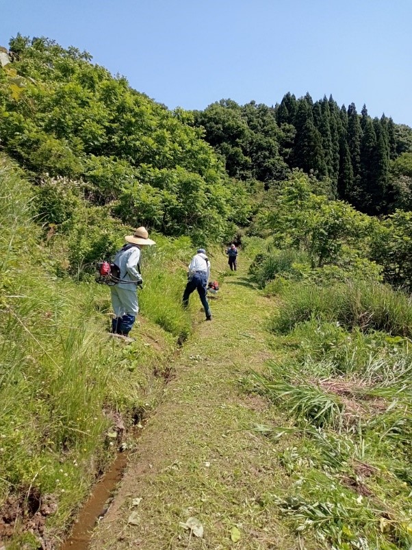 【棚田から富山湾と立山連峰が一望できる！】農業体験を通じ、富山の素晴らしさを感じてみませんか！