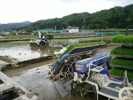 【大規模農業法人！】規格外商品のお裾分けがある大規模農家で、お手伝いしてみませんか？きっと農業が好きになる！