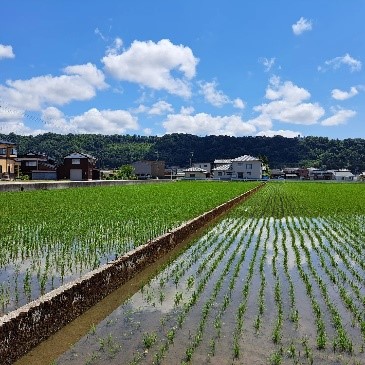 【大規模農業法人！】規格外商品のお裾分けがある大規模農家で、お手伝いしてみませんか？きっと農業が好きになる！