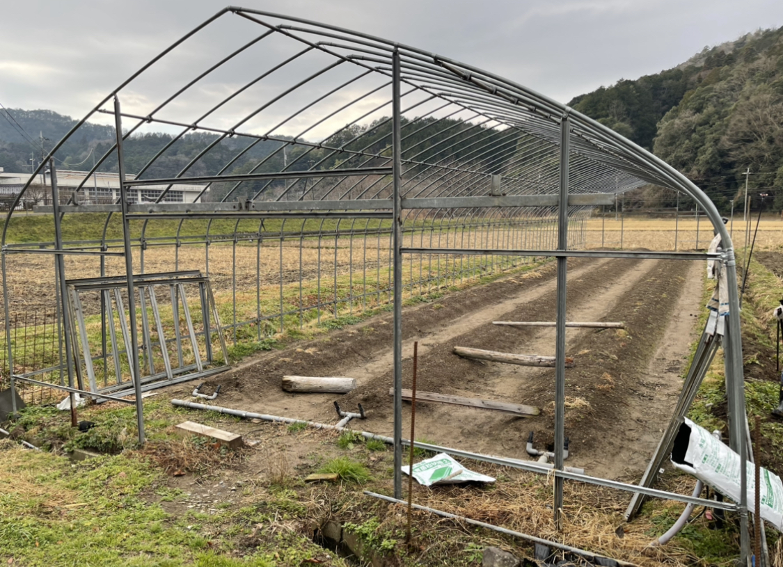 【海まで歩いて10分！】イチゴの栽培ハウス建築・イチゴの定植のお手伝いしてみませんか？