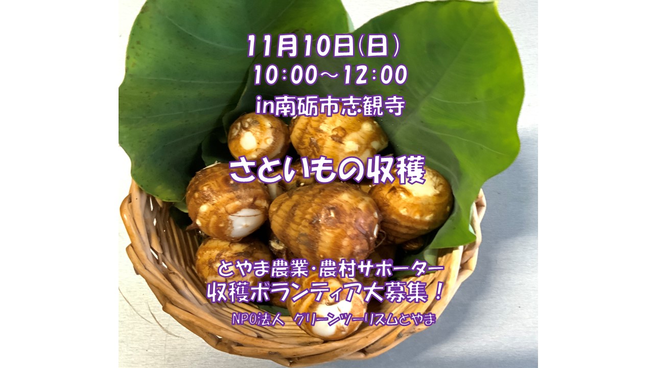 【とやま農業・農村サポーター】募集！<br> 11月10日(日)さといもの収穫　in南砺市志観寺