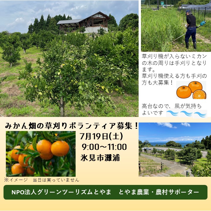【とやま農業・農村サポーター】ボランティア募集<br>7月19日(土)氷見市灘浦　ミカン畑の草刈り