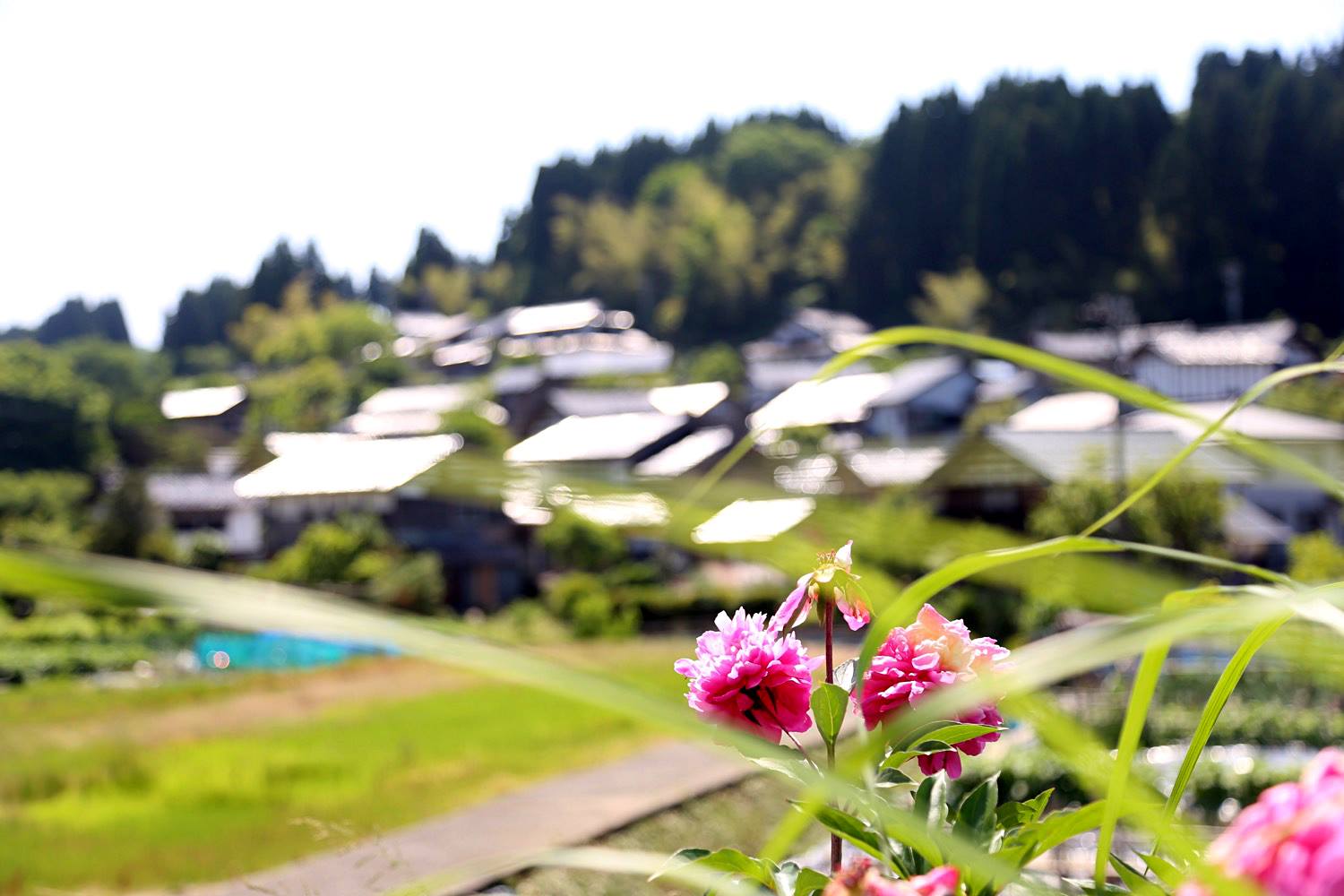 【受付募集中】里山資源を循環させ、次世代を生かす新たな価値を創造しています。笑いと藝術が交響する田園の未来を大切な人たちと共に。