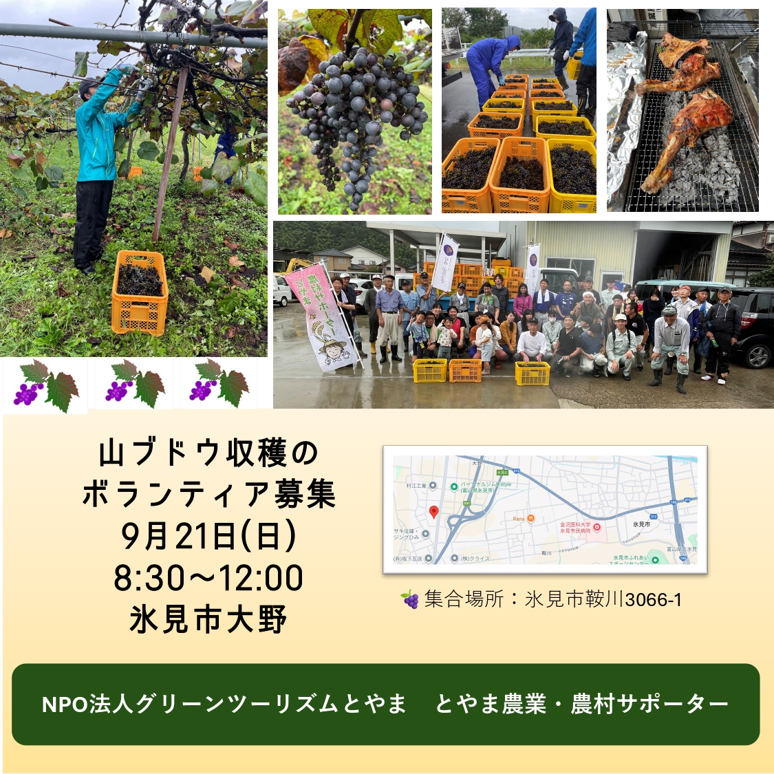 【とやま農業・農村サポーター】ボランティア募集<br>9月21日(日)氷見市大野　山ブドウ収穫