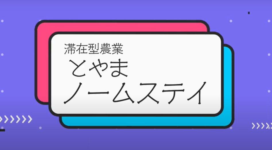 とやまノームステイとは？