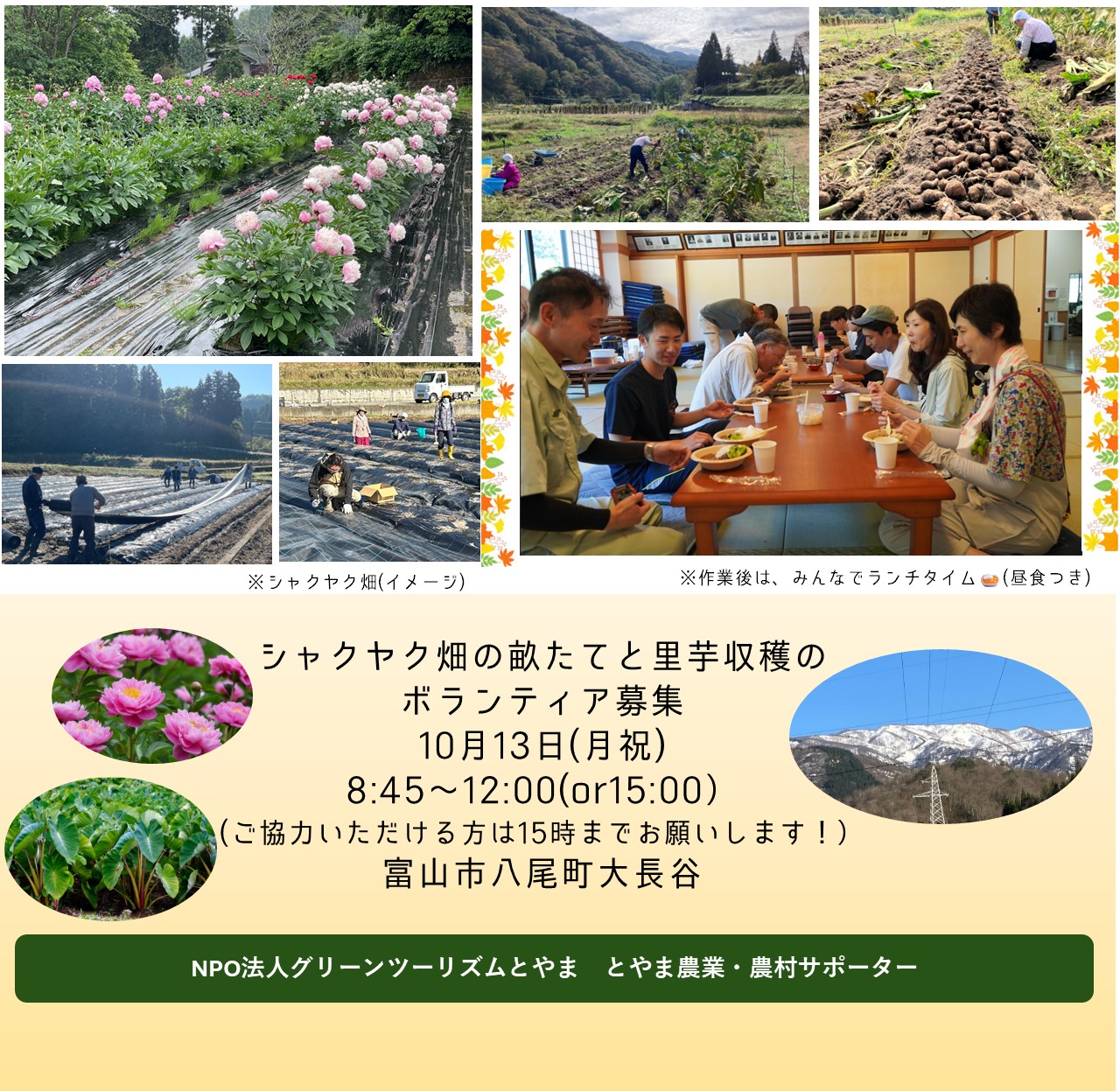 【とやま農業・農村サポーター】ボランティア募集<br>10月13日(月祝)富山市八尾町大長谷　シャクヤク畑の畝たてと里芋収穫