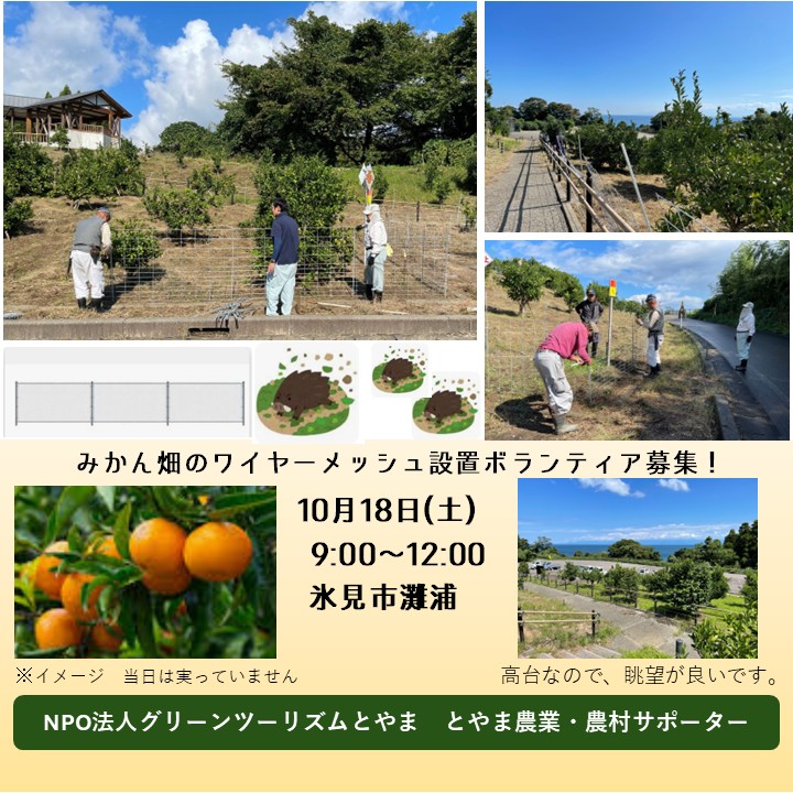 【とやま農業・農村サポーター】ボランティア募集<br>10月18日(土)氷見市灘浦　ミカン畑のワイヤーメッシュ設置