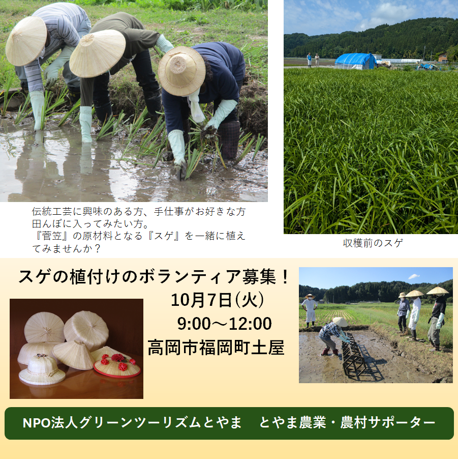 【とやま農業・農村サポーター】ボランティア募集 10月7日(火)  高岡市福岡町「スゲの植付け」
