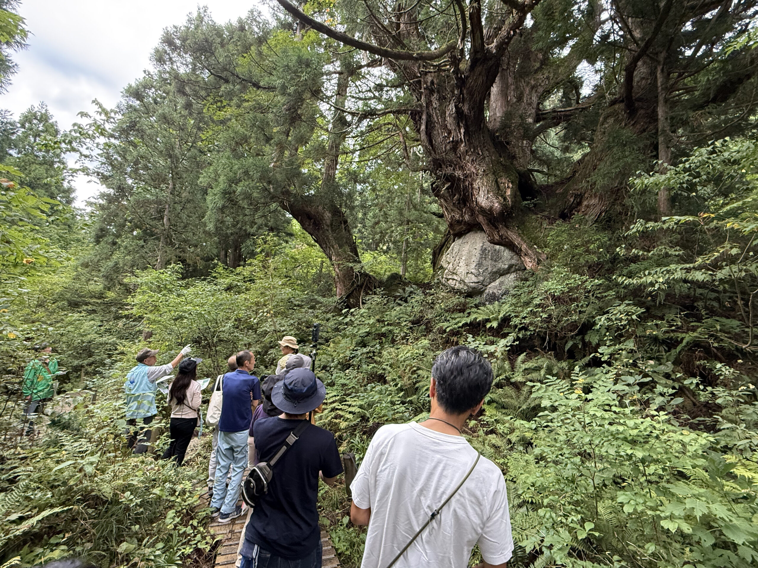 魚津片貝ラボイメージ
