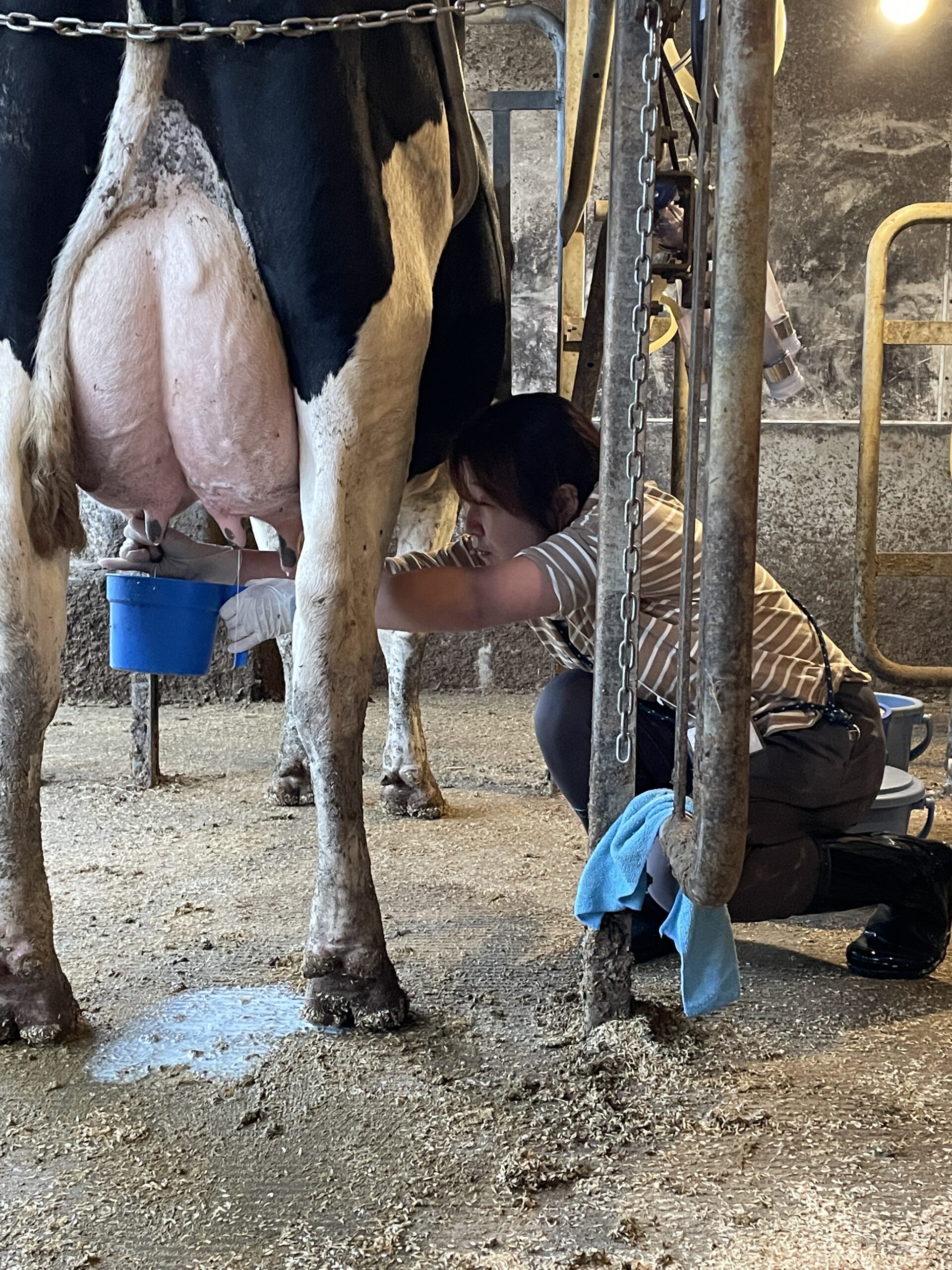 国吉ラボイメージ