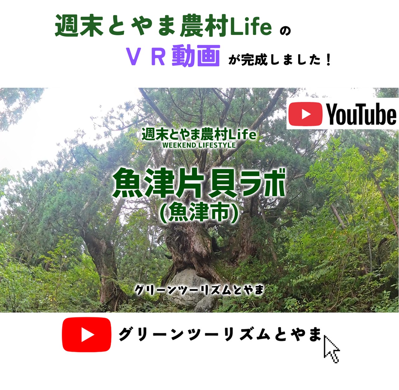 『週末とやま農村ライフ』『魚津片貝ラボ』VR体験動画公開！
