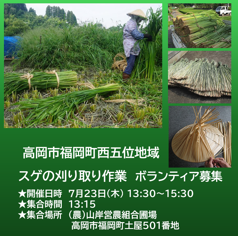 【とやま農業・農村サポーター　ボランティア募集】７月2３日(木)　高岡市福岡町西五位地域　スゲの刈り取り作業　
