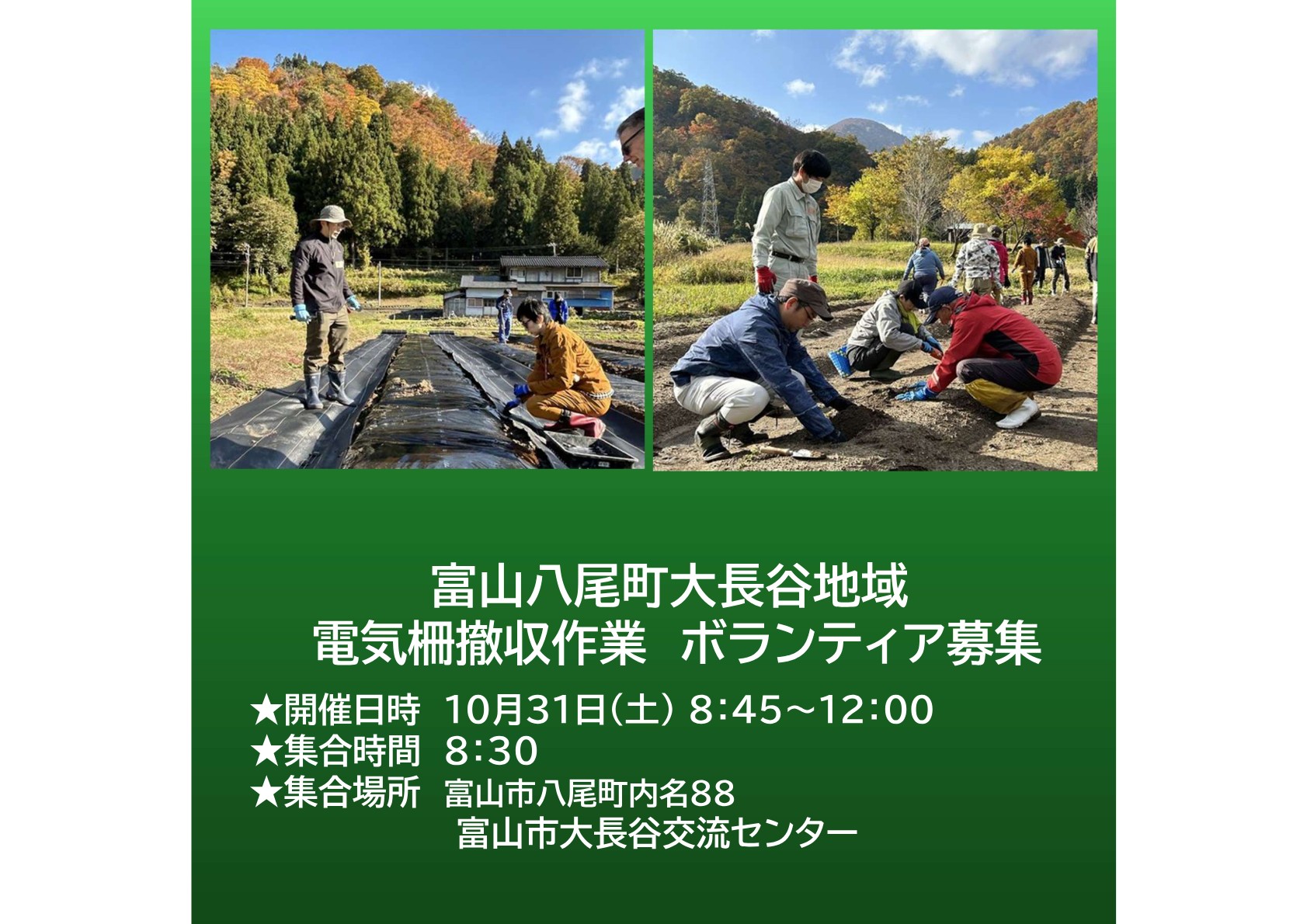 【とやま農業・農村サポーター　ボランティア募集】１０月３１日(土)　富山市八尾町大長谷地域　電気柵の撤去作業