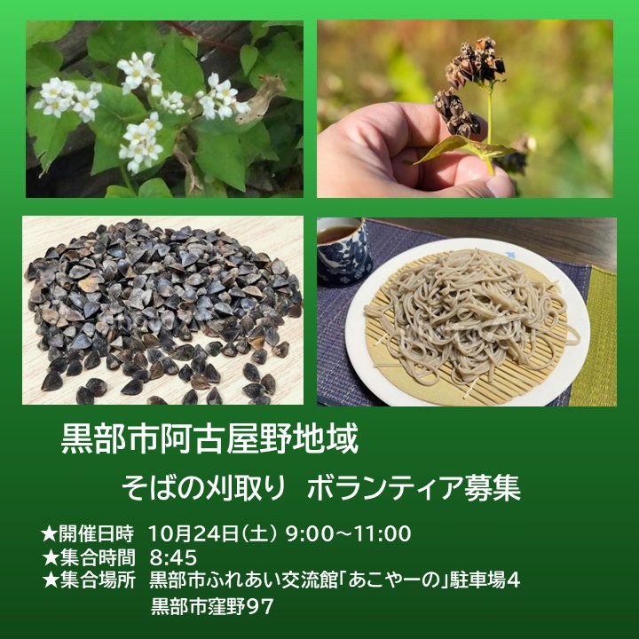 【とやま農業・農村サポーター　ボランティア募集】１０月２４日(土)　黒部市阿古屋野地域　そばの刈り取り